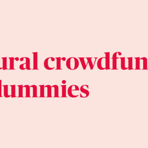 Cultural Crowdfunding for Dummies: il workshop